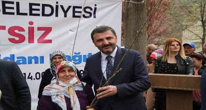 Gümüşhane Belediyesi 5 bin ceviz fidanı dağıttı