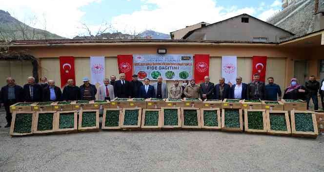 Gümüşhane'de üreticilere 150 bin sebze fidesi dağıtıldı