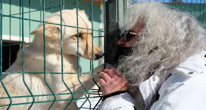 Barınaktaki yavru köpeklerin bakımsızlıktan öldüğü iddiası tepkilere neden oldu