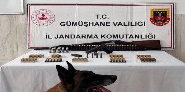 Gümüşhane'de Eve Silah Baskını: Çok Sayıda Ruhsatsız Silah ve Mühimmat Ele Geçirildi