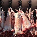 5c27b32561361f076c4ce2d7_c1edd738fa66dbad34de