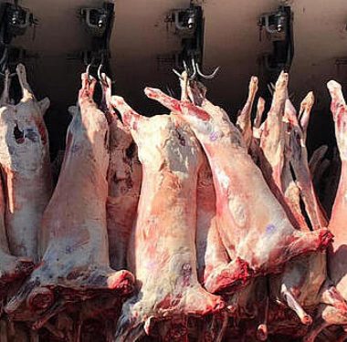 5c27b32561361f076c4ce2d7_c1edd738fa66dbad34de