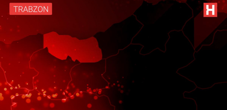 Trabzon’da küçük boyda avlanan 20 ton hamsiye el konuldu