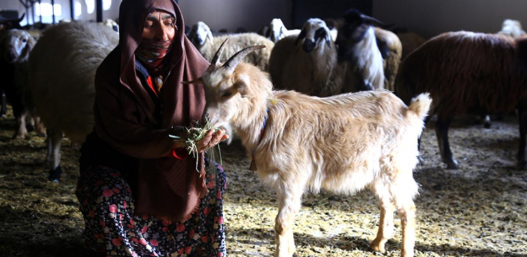Bilezikler yatırıma dönüştü, kooperatifle köy kalkındı