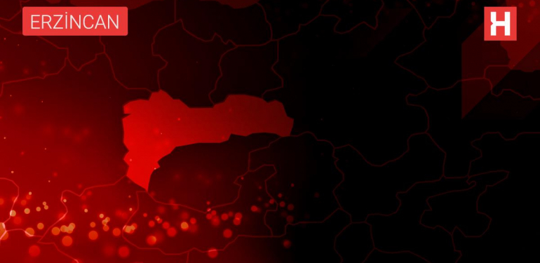 Erzincan’da 11 düzensiz göçmen yakalandı