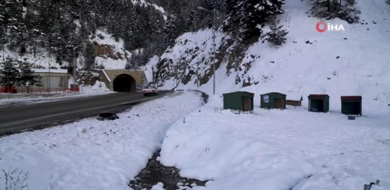 Gümüşhane’de sokak hayvanlarına şefkat eli