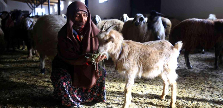 Gümüşhaneli kadınlar bileziklerini bozdurup hayvancılığa yatırım yaptı