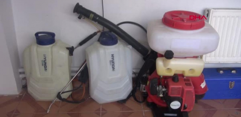 MUMYALADIĞI BÖCEKLERİ ÇERÇEVE İLE DUVARA ASTI