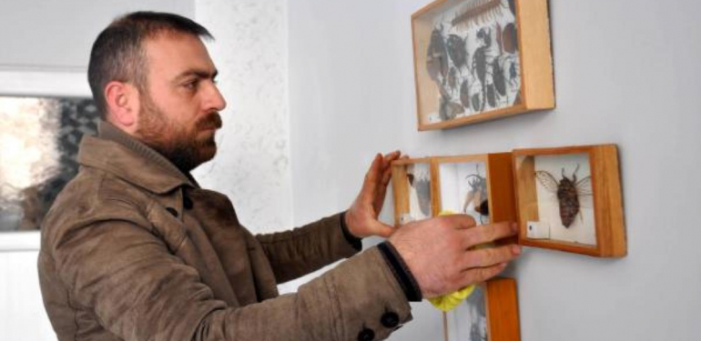Mumyaladığı böcekleri çerçeve ile duvara astı