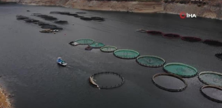 Denizi olmayan kentten tonlarca balık ihraç ediliyor