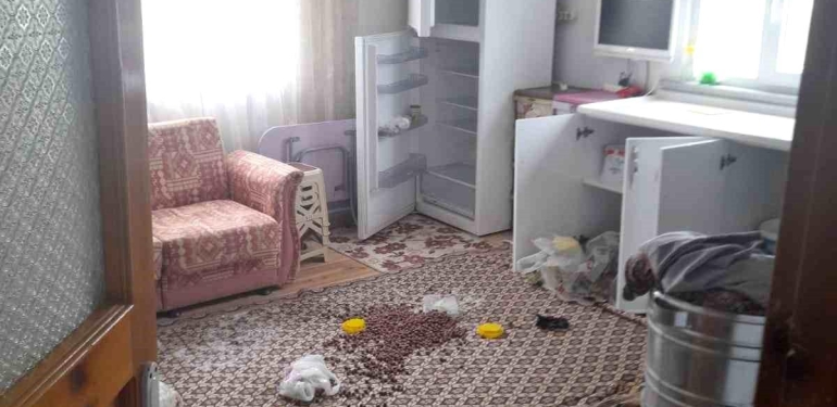 Gümüşhane’de ayılar yayla meskenlerine dadandı