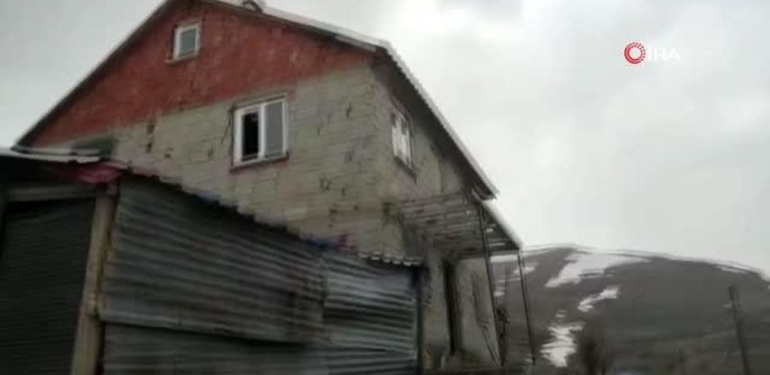 Gümüşhane’de ayılar yayla meskenlerine dadandı