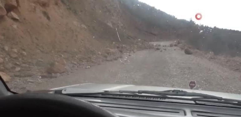 Tabiat fotoğrafçısı kuvvetli yolları aşarak anne ayı ve yavrularını inlerinde görüntüledi