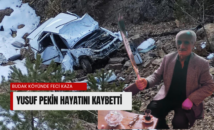 Uçuruma yuvarlanan otomobilin sürücüsü hayatını kaybetti #haberi, #haberleri, #Gümüşhane #haber