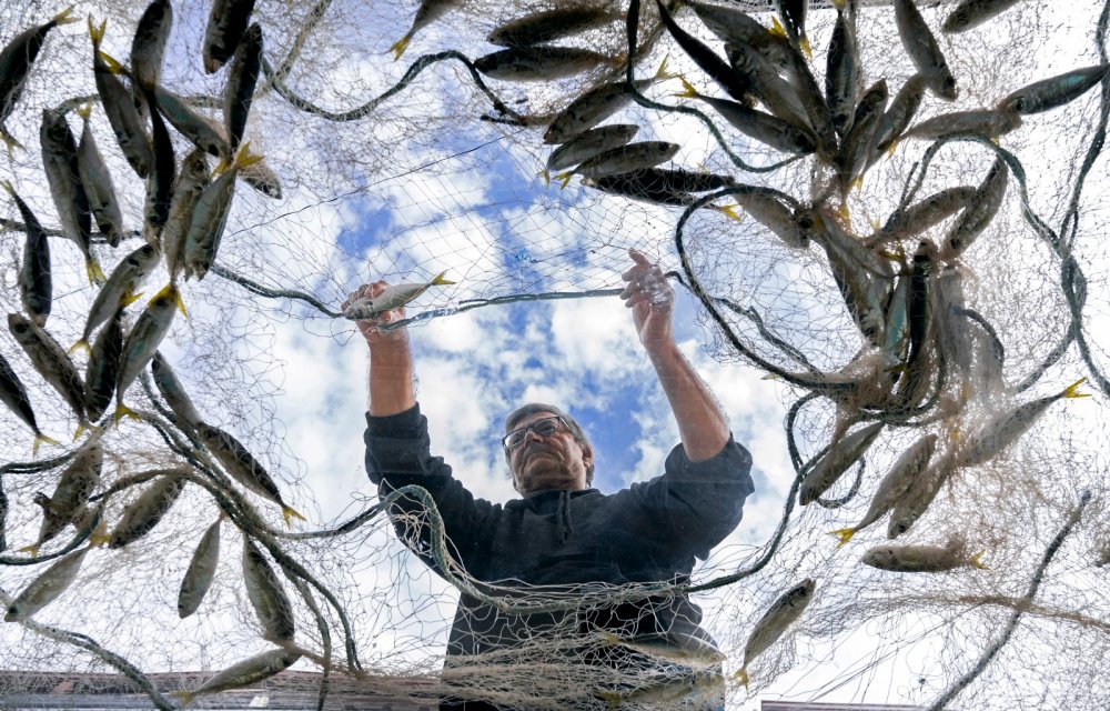 Mustafa Zengin, Karasu Fotoğraf Yarışmasından 2 ödülle döndü #haberi, #haberleri, #Gümüşhane #haber