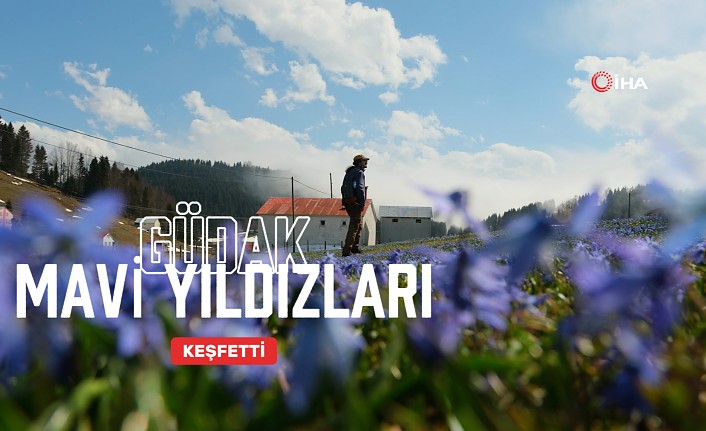 “Mavi Yıldız” çiçeklerini görmek için 11 kilometre yürüdüler #haberi, #haberleri, #Gümüşhane #haber