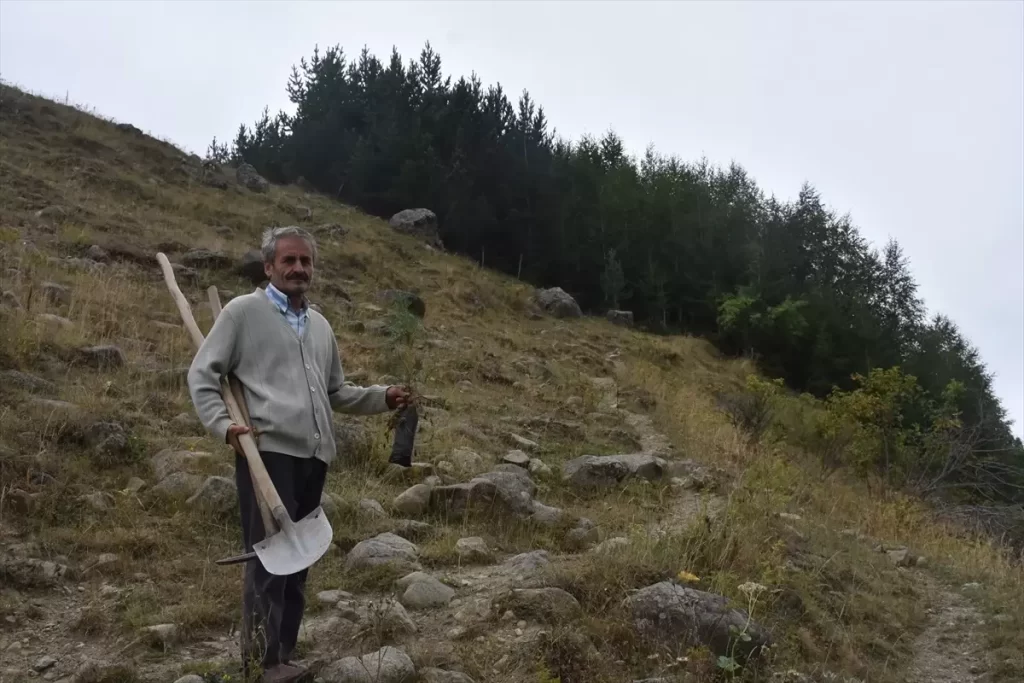 Ali Ural, 50 Bin Fidan Dikti