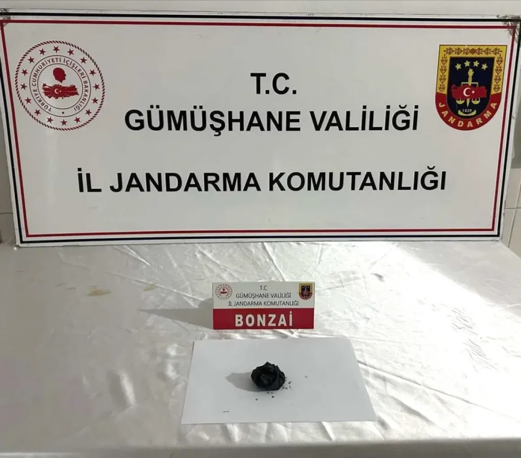 Gümüşhane'de Uyuşturucu Operasyonu: 2 Gözaltı