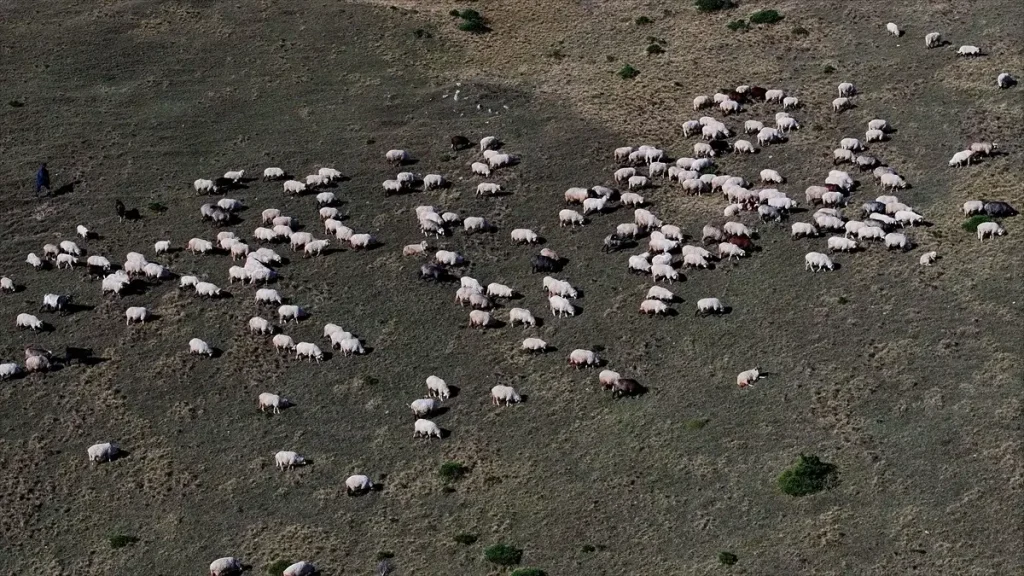 Zigana Dağı'nda Sonbahar Renkleri ve Besicilerin Zorluğu