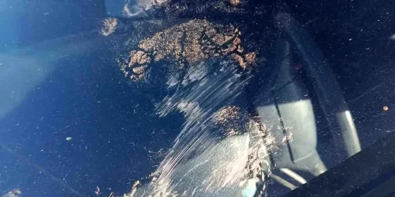 Gümüşhane'de Ayı Park Halindeki Araca Saldırdı