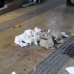 Gümüşhane'de Bıçaklı Saldırı: Boşanma Aşamasındaki Kadın Yaralandı