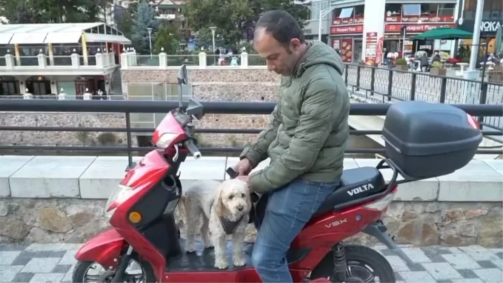 Gümüşhane'de Güvenlik Görevlisi ve Poodle'ı Elektrikli Motosikletle Geziyor