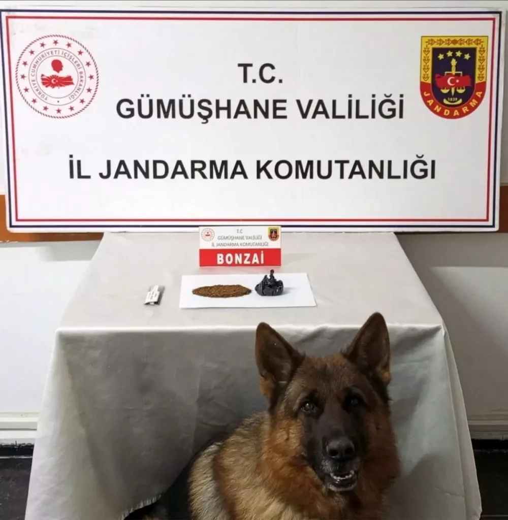 Gümüşhane'de uyuşturucu operasyonu - Haberler