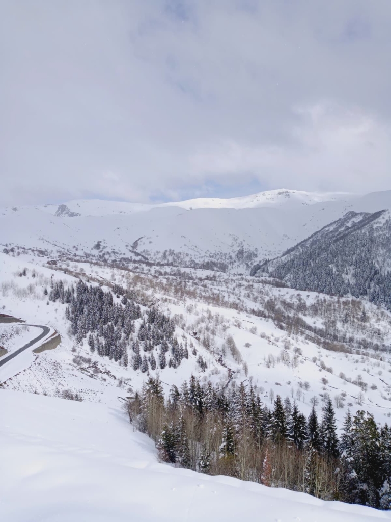 Doğu Karadeniz'in Yüksek Kesimleri Karla Kaplandı