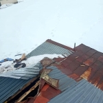 Gümüşhane yaylalarında ayı dehşeti devam ediyor