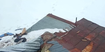 Gümüşhane yaylalarında ayı dehşeti devam ediyor