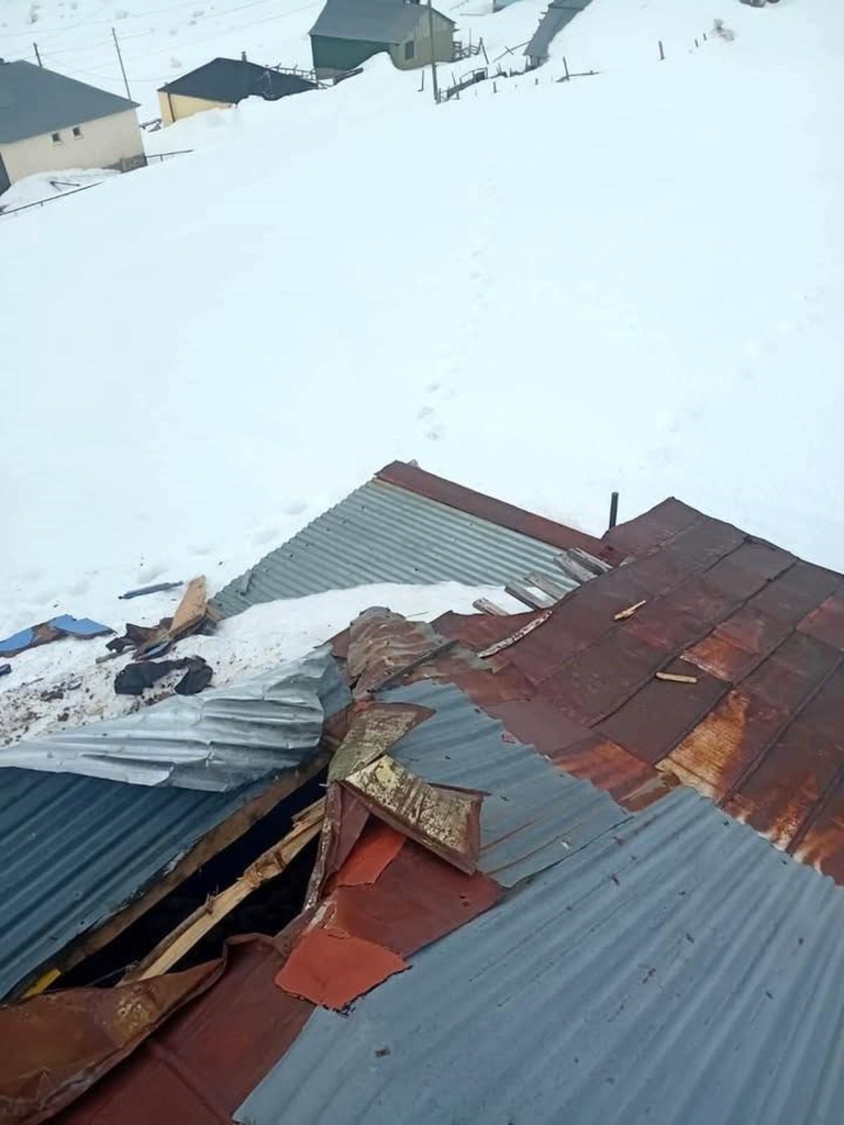 Gümüşhane yaylalarında ayı dehşeti devam ediyor