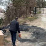 Gümüşhane'de aç kalan yavru ayıyı elleriyle beslediler