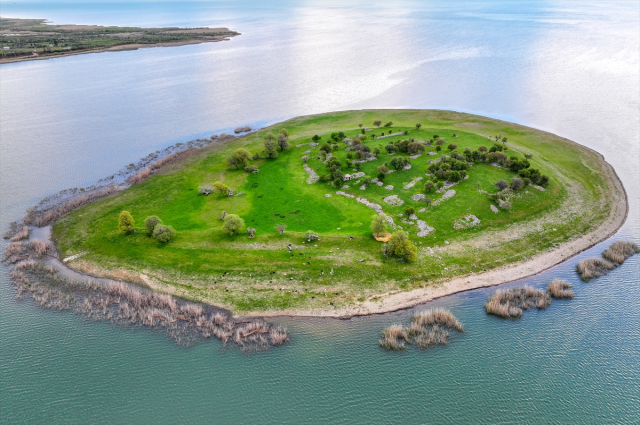 İsviçre değil Türkiye! Uyanık besici çoban masrafından böyle kurtuldu