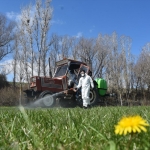 Kelkit'te kene ile mücadele çalışması başlatıldı