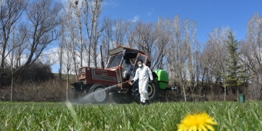 Kelkit'te kene ile mücadele çalışması başlatıldı