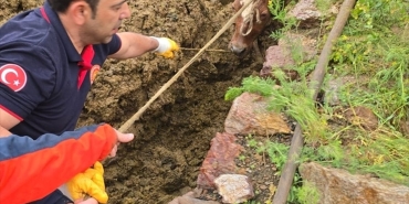 Gümüşhane'de gübre çukuruna düşen ineği itfaiye kurtardı