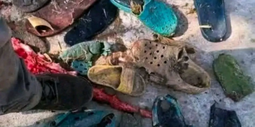 Kayıp kişileri o mu yedi? Dev timsahın midesinden 6 çift terlik çıktı