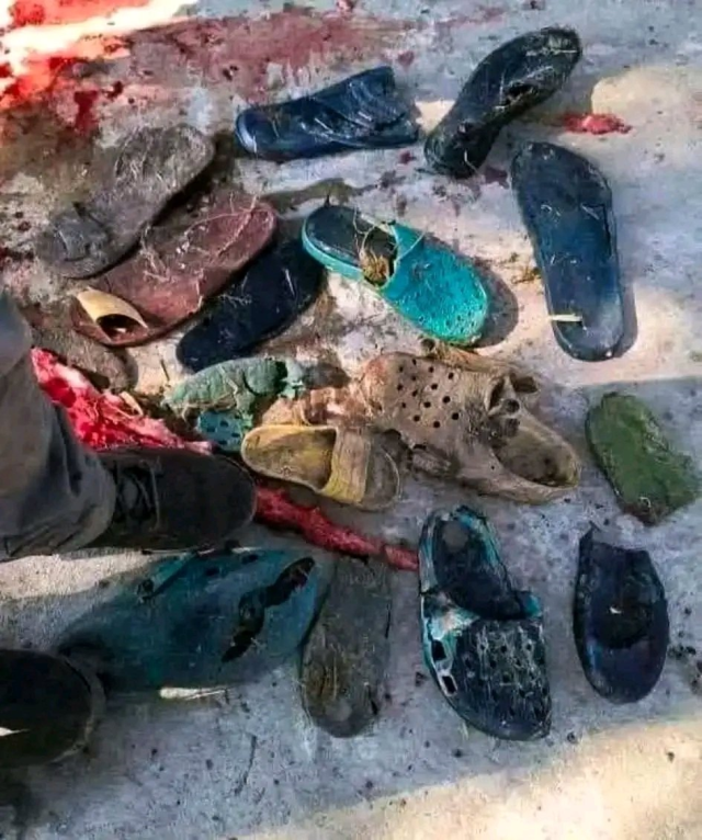 Kayıp kişileri o mu yedi? Dev timsahın midesinden 6 çift terlik çıktı
