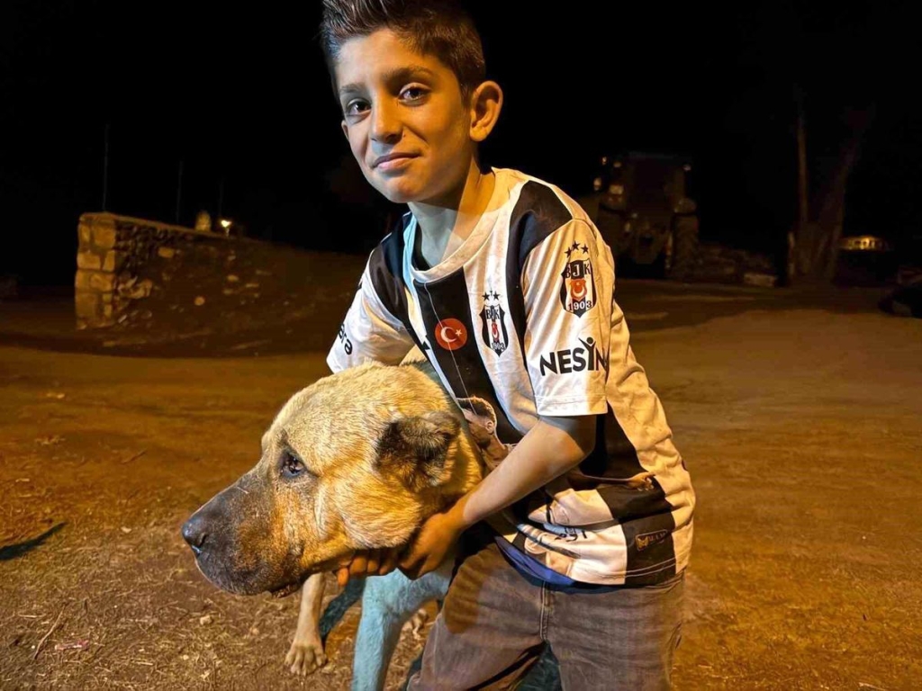 Köyde iki ayının saldırısına uğrayan Sencar'ın imdadına çoban köpeği Kral yetişti