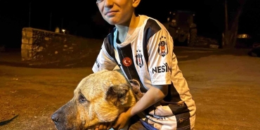 Köyde iki ayının saldırısına uğrayan Sencar'ın imdadına çoban köpeği Kral yetişti