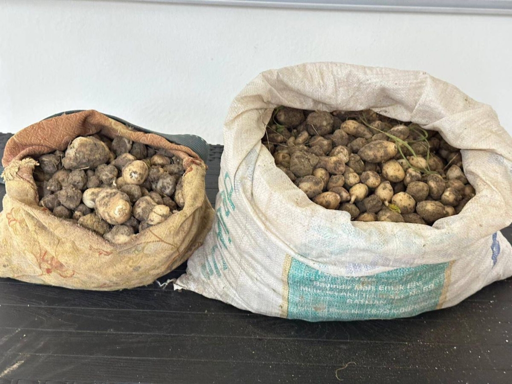Tunceli'de izinsiz 31 kilo salep yumrusu toplayan 3 kişiye 2 milyon TL ceza