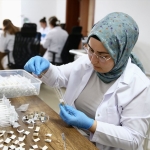 Giresun'da üretilen samuray arıları 5 ilde doğaya bırakılacak