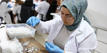 Giresun'da üretilen samuray arıları 5 ilde doğaya bırakılacak