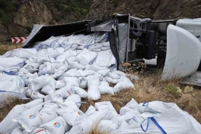 Balık yemi yüklü tır devrildi: sürücü yaralı
