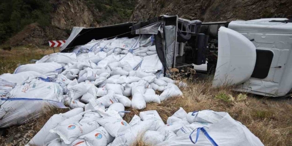 Balık yemi yüklü tır devrildi: sürücü yaralı