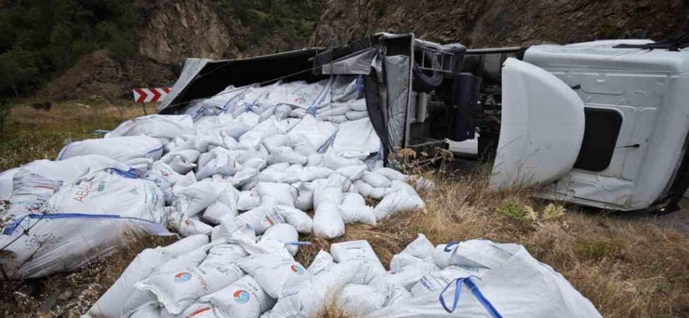 Balık yemi yüklü tır devrildi: sürücü yaralı