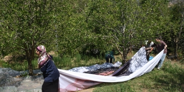Geleneksel dut pekmezi üreticilere ek gelir kapısı oluyor