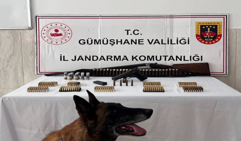 Gümüşhane'de Eve Silah Baskını: Çok Sayıda Ruhsatsız Silah ve Mühimmat Ele Geçirildi