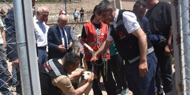 Gümüşhane'de sahipsiz hayvanlar için doğal yaşam alanı açıldı