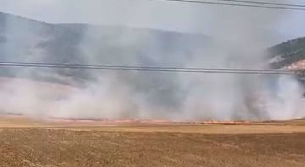 İnegöl'de Tarla Yangını: 16 Yaşındaki Şüpheli Gözaltında
